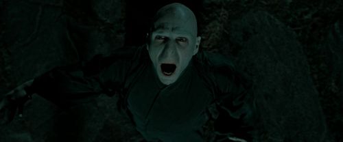 RdM2-Potterish_05999.jpg