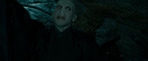 RdM2-Potterish_06049.jpg