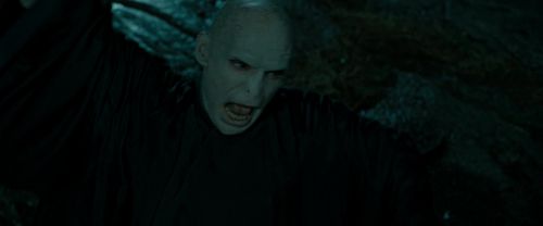 RdM2-Potterish_06050.jpg