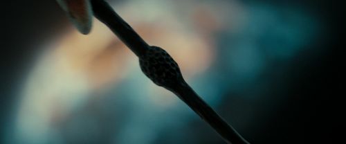 RdM2-Potterish_06105.jpg