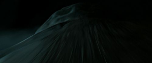 RdM2-Potterish_06109.jpg