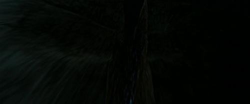 RdM2-Potterish_06111.jpg