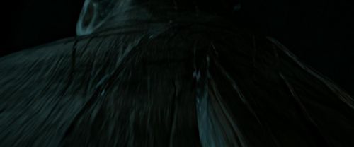 RdM2-Potterish_06117.jpg