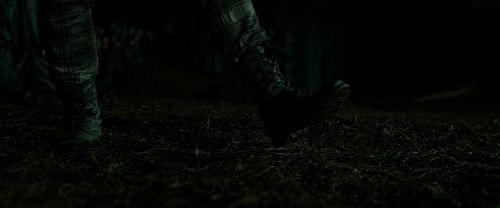 RdM2-Potterish_06184.jpg