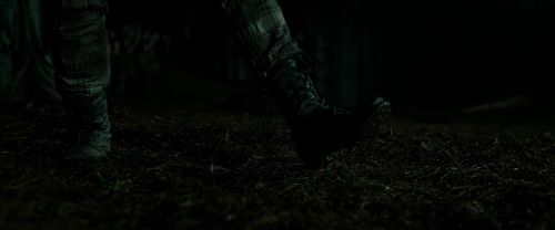 RdM2-Potterish_06185.jpg