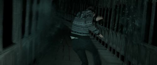 RdM2-Potterish_06218.jpg