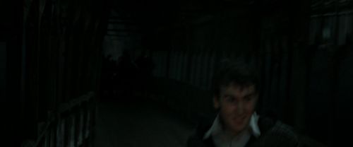 RdM2-Potterish_06220.jpg