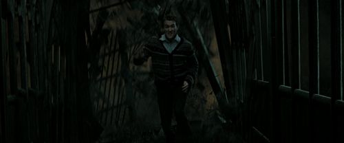 Click to view full size image
==============
RdM2-Potterish_06248.jpg RdM2-Potterish_06248.jpg