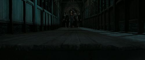 RdM2-Potterish_06261.jpg