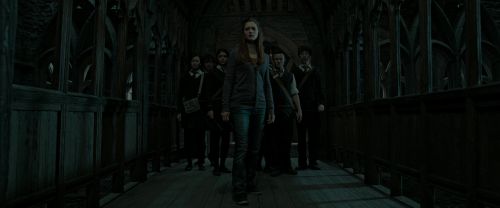 RdM2-Potterish_06272.jpg