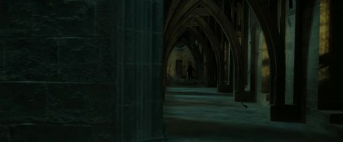 RdM2-Potterish_06490.jpg