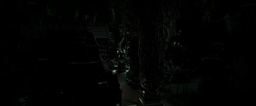 RdM2-Potterish_06647.jpg
