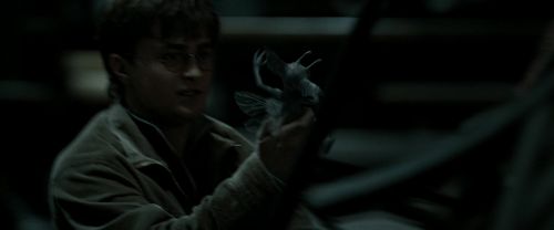 RdM2-Potterish_06922.jpg