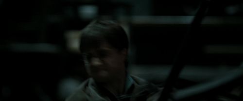 RdM2-Potterish_06924.jpg