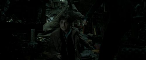RdM2-Potterish_06960.jpg