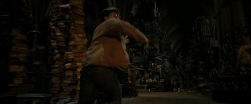 RdM2-Potterish_07012.jpg