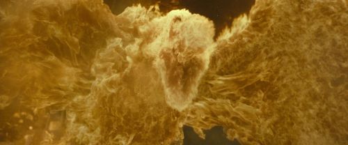 RdM2-Potterish_07026.jpg