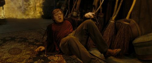 RdM2-Potterish_07081.jpg