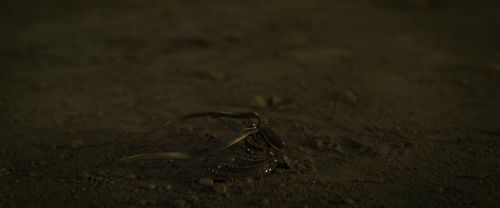 RdM2-Potterish_07204.jpg