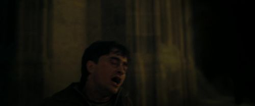 RdM2-Potterish_07213.jpg