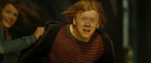 RdM2-Potterish_07218.jpg