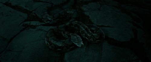 Click to view full size image
==============
RdM2-Potterish_07237.jpg RdM2-Potterish_07237.jpg
