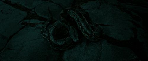 Click to view full size image
==============
RdM2-Potterish_07240.jpg RdM2-Potterish_07240.jpg