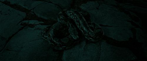 RdM2-Potterish_07241.jpg