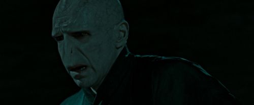 RdM2-Potterish_07261.jpg