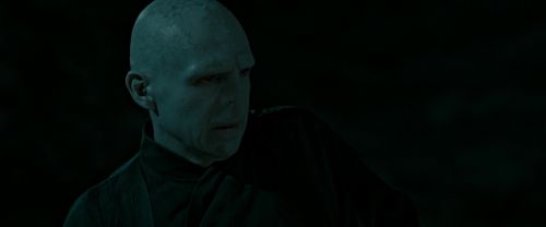 RdM2-Potterish_07273.jpg