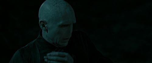 RdM2-Potterish_07277.jpg