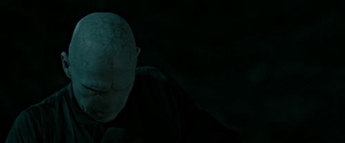 RdM2-Potterish_07279.jpg