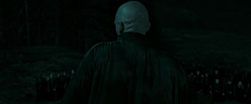 RdM2-Potterish_07288.jpg