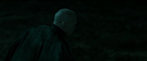 RdM2-Potterish_07308.jpg