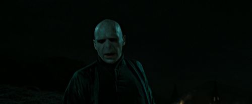 RdM2-Potterish_07317.jpg