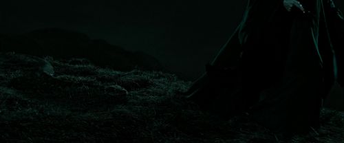 RdM2-Potterish_07318.jpg