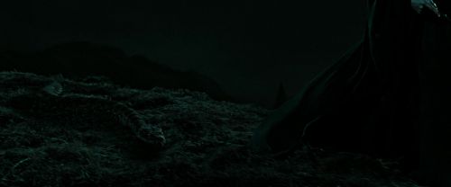 RdM2-Potterish_07320.jpg