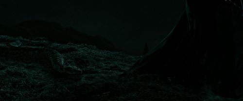 RdM2-Potterish_07321.jpg