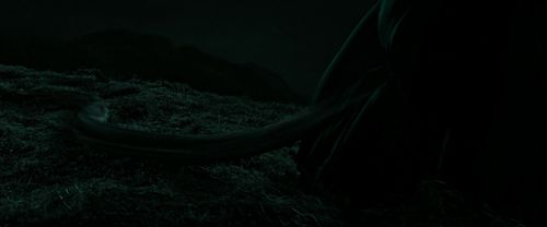 RdM2-Potterish_07324.jpg