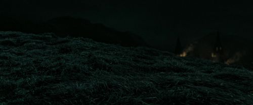 RdM2-Potterish_07325.jpg