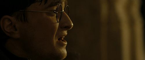 RdM2-Potterish_07345.jpg