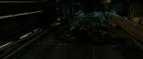 RdM2-Potterish_07430.jpg
