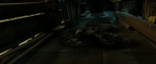 RdM2-Potterish_07432.jpg