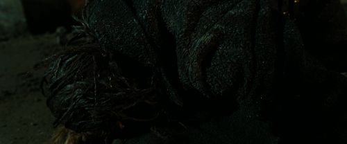 RdM2-Potterish_07650.jpg