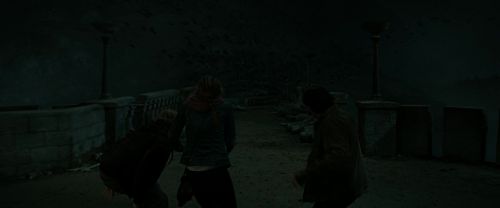 RdM2-Potterish_07679.jpg