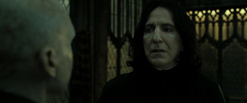 RdM2-Potterish_07792.jpg
