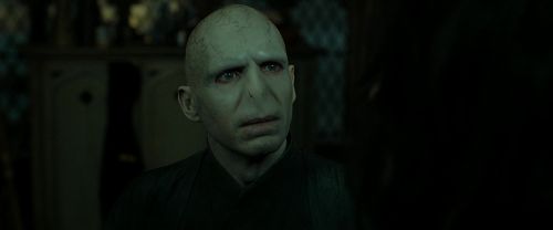 RdM2-Potterish_07795.jpg