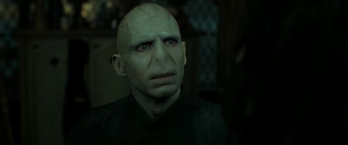 RdM2-Potterish_07798.jpg