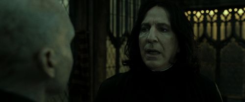 RdM2-Potterish_07804.jpg