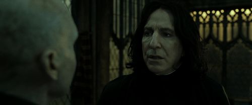 RdM2-Potterish_07805.jpg